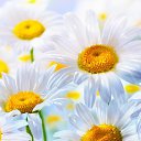 ���� Ok, ���� - ��������� 11 ������ 2018 � ������ ���� ����������