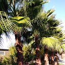 ���� Olga, ������������ - ��������� 28 ������� 2018 � ������ ���� ����������