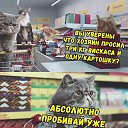 ���� ��������, ����, 72 ���� - ��������� 13 ����� 2018 � ������ ���� ����������