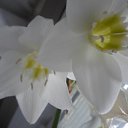 ���� ������, ���� - ��������� 25 ������ 2017 � ������ ���� ����������