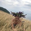 ���� �������, ����, 65 ��� - ��������� 6 ���� 2018 � ������ ���� ����������