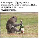 ���� �������, �����-��������� - ��������� 2 ����� 2018 � ������ ���� ����������
