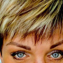 �������, ����������, 53 ����