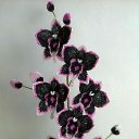 ���� ����, ����, 59 ��� - ��������� 7 ������� 2017 � ������ ���� ����������