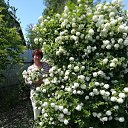 ���� ��������, �����������, 58 ��� - ��������� 27 ���� 2018 � ������ ���� ����������