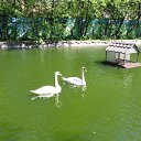 ���� ���������, ������, 53 ���� - ��������� 2 ���� 2018 � ������ ���� ����������