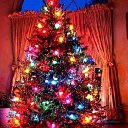  Elena....,  -  12  2017    