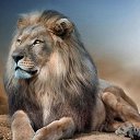 ���� ���������, �����, 43 ���� - ��������� 8 ������� 2018 � ������ ���� ����������