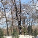New York City ��� �� ���� �������� �� ������� �New York City�