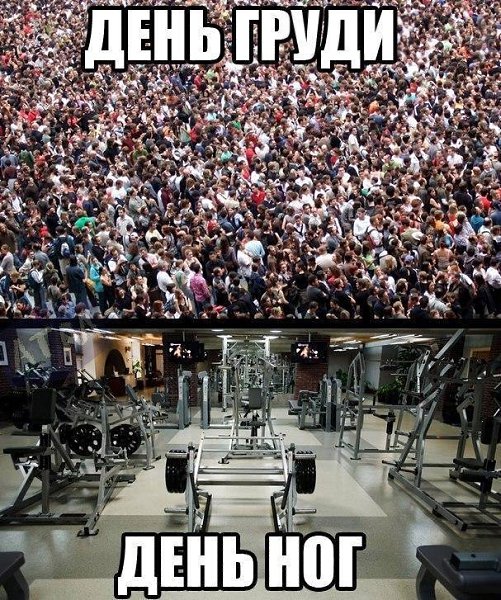  -   - 28  2017  03:39