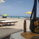 ���� Chema, ������ - ��������� 24 ��� 2018