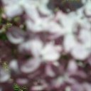 "��������� �����" �� ������� �FLORA�