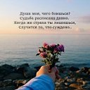 ���� �������, ����, 57 ��� - ��������� 29 ���� 2018 � ������ ���� ����������