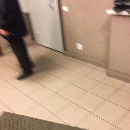 ������, �����-���������, 42 ����