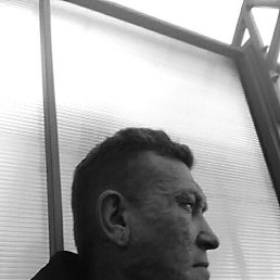 ����, 50 ���, ����������