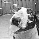 ���� ����, ����, 42 ���� - ��������� 11 ������� 2017 � ������ ���� ����������