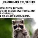���� ̸�, ������, 53 ���� - ��������� 31 ������ 2018
