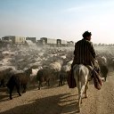  , -, 64  -  29  2018   