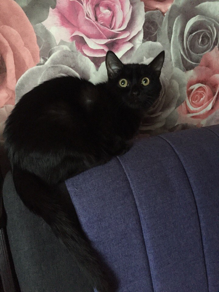 #_.          ..    ... - 6