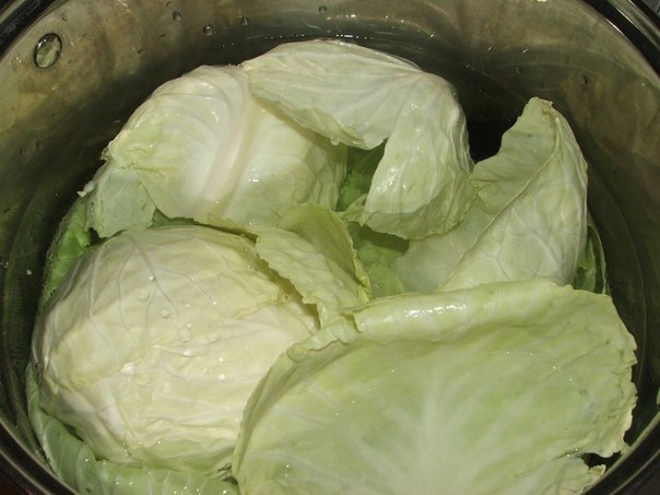 5 продуктов, улучшающих память.РозмаринРозмарин богат антиоксидантами и карнозиновой кислотой, ...