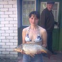  Oleg,  -  29  2018   