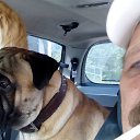 ���� �������, �����-���������, 65 ��� - ��������� 12 ���� 2018 � ������ ������ ������