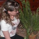 ���� ������, ���������� - ��������� 15 ������ 2018