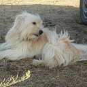 ���� �������, ���������, 62 ���� - ��������� 23 ������� 2018 � ������ ���� ����������