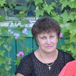  , -, 62  -  29  2017