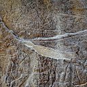  ,  -  17  2018          ˻