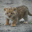 �� ���� �� ������� ������� �����...�