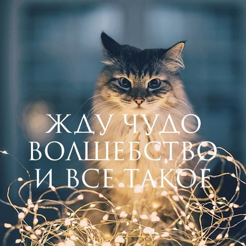 ������� - 1 ������� 2017 � 11:11