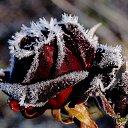 ���� Serega, �����, 47 ��� - ��������� 16 ����� 2018 � ������ ���� ����������