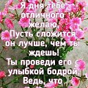 ���� �������, ���������, 56 ��� - ��������� 7 ���� 2018 � ������ ���� ����������