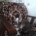  Saturn,  -  10  2018   