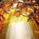 ���� Nastasya, ����, 34 ���� - ��������� 26 ������� 2018 � ������ ���� ����������