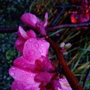 ���� ����, ���� - ��������� 19 ����� 2018 � ������ ������ ��������