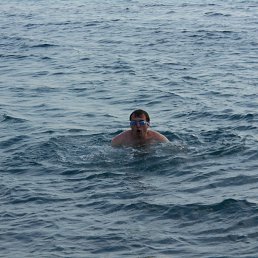 ������, ������