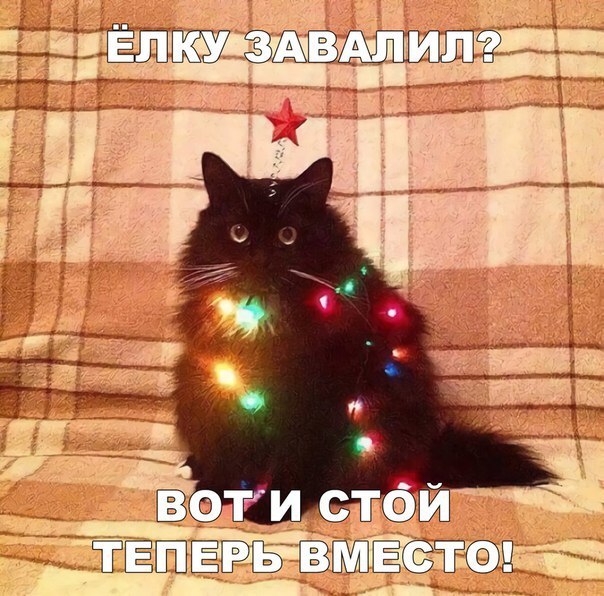 �������� �������� - 20 ������ 2018 � 21:31