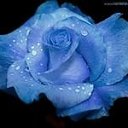 ���� 165656, �������, 37 ��� - ��������� 19 ��� 2018 � ������ ���