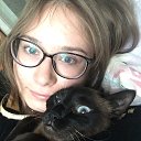 ���� ��������, ����, 29 ��� - ��������� 7 ����� 2018 � ������ ���� ����������