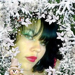 �����, �������, 43 ����