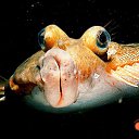 ���� �������, �����-��������� - ��������� 24 ������� 2017 � ������ ���� ����������