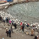 �����. �� ������� ������.�