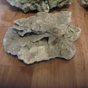 ���� ������, �����-���������, 44 ���� - ��������� 29 ������ 2018 � ������ ���� ����������