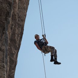 �������, ���������, 38 ���