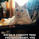 ���� Milena, ������ - ��������� 17 ������� 2017 � ������ ������ ��������