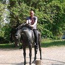 ���� ������, ���������, 43 ���� - ��������� 10 ������� 2017 � ������ ���� ����������