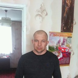 ����, ������, 41 ���