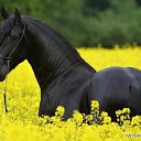 ���� �����, ������ - ��������� 27 ������ 2018 � ������ ������ ��������